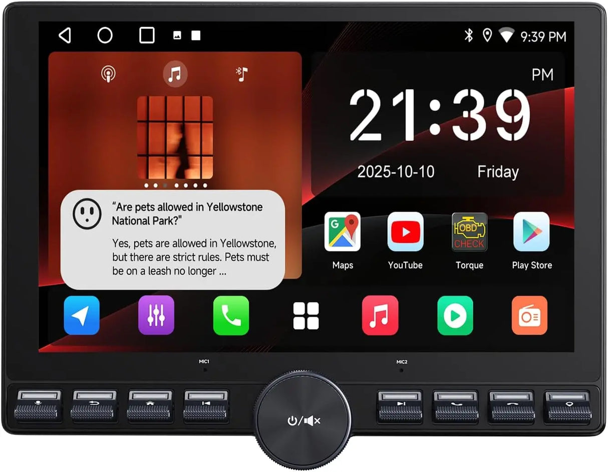 ATOTO A5LG110PT 10.1 Pouces Autoradio Double Din Écran Tactile QLED 2G+32G CarPlay Sans Fil, Android Auto, Android avec Wi-Fi/BT/USB, GPS, DSP, AMP, SUB